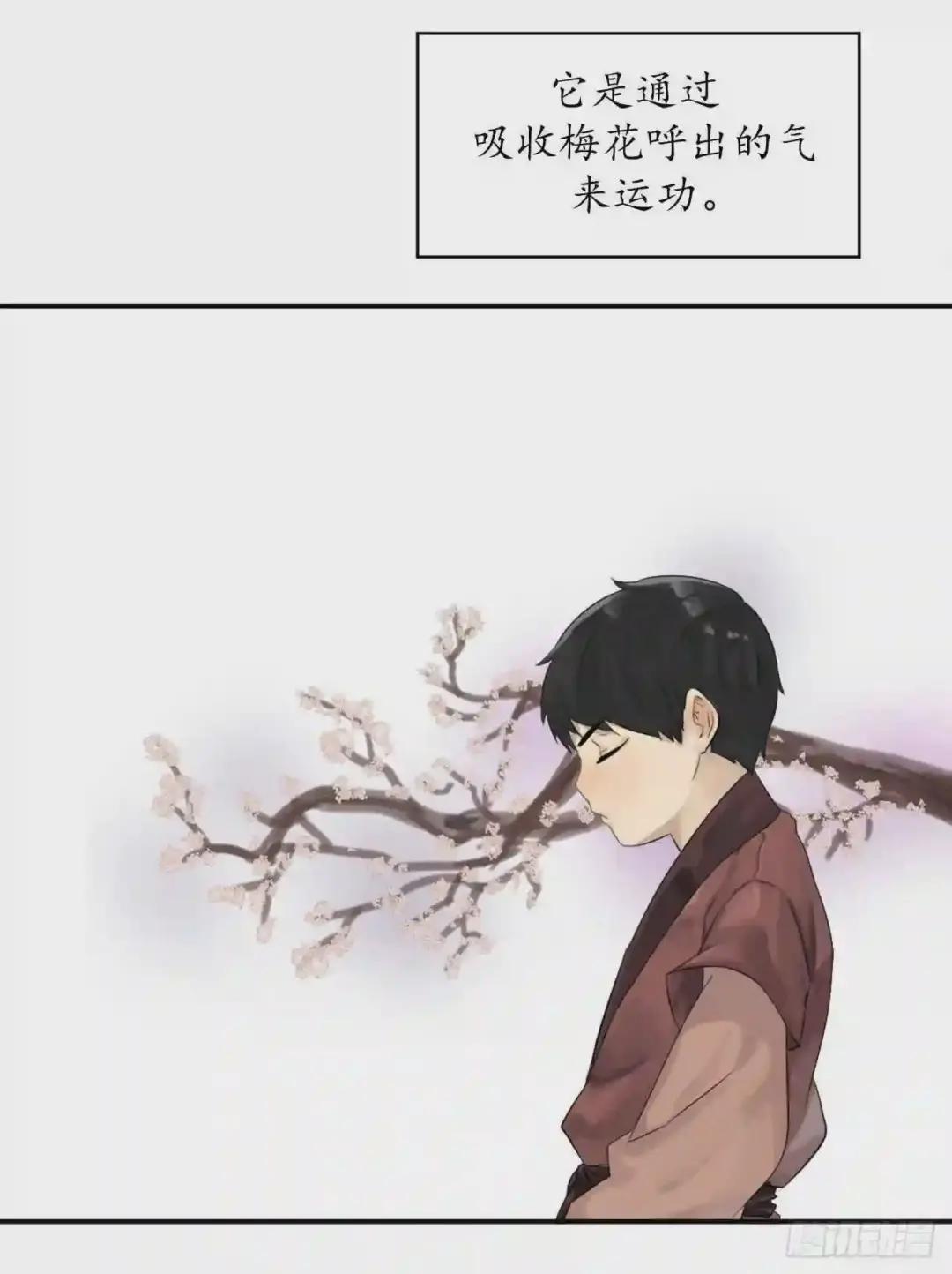 废柴重生之我要当大佬2.玄妙功法P22