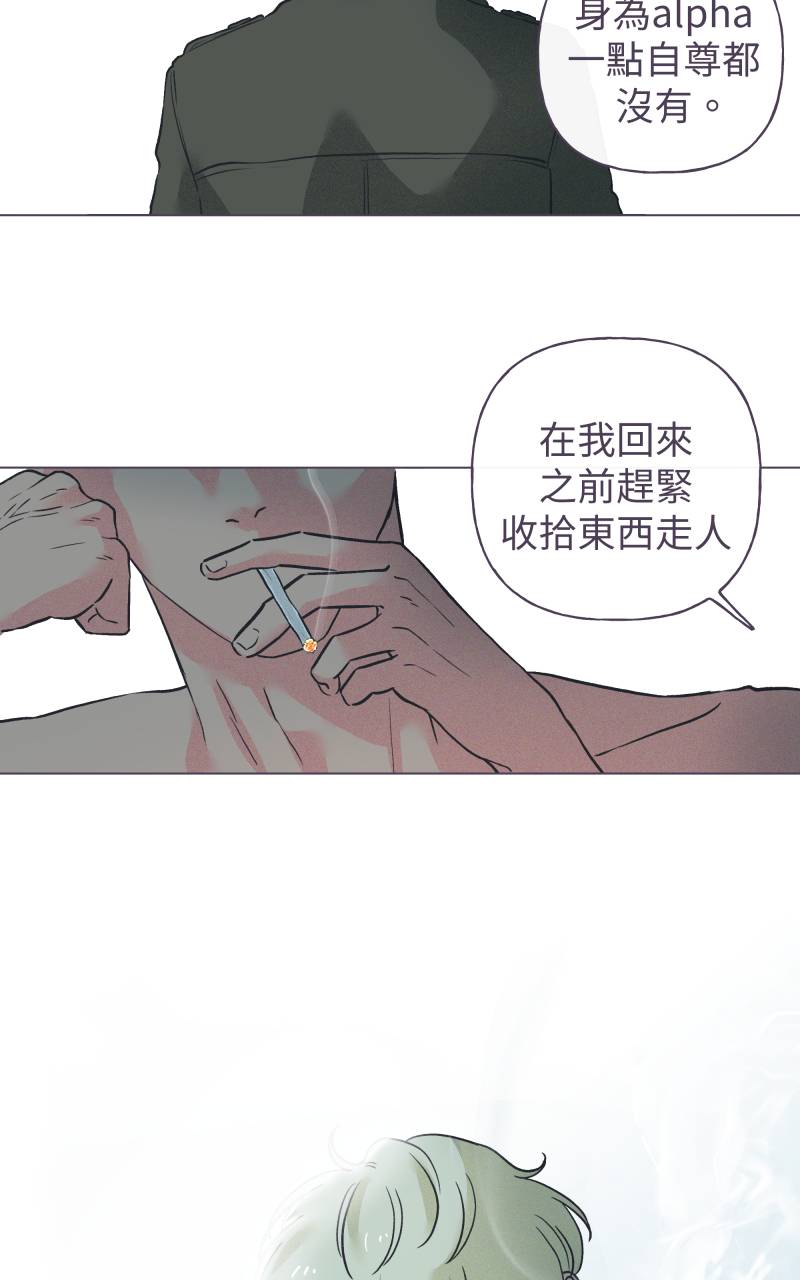 风情万种先生No. 1P10