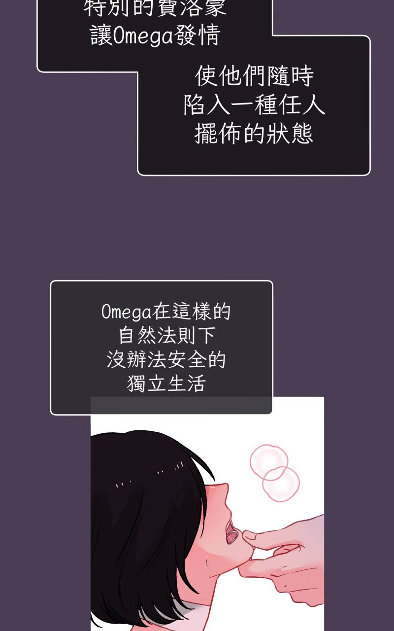 风情万种先生No. 1P15