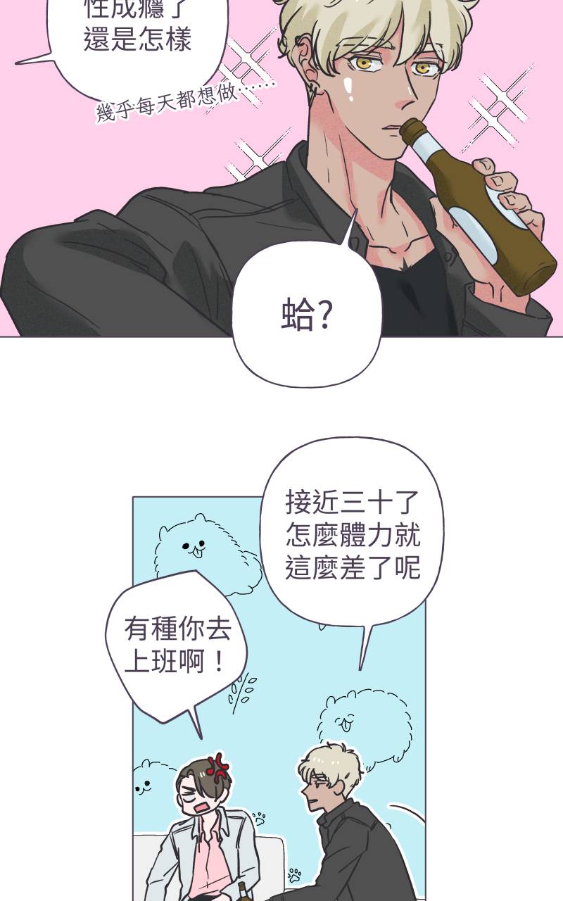 风情万种先生No. 1P45