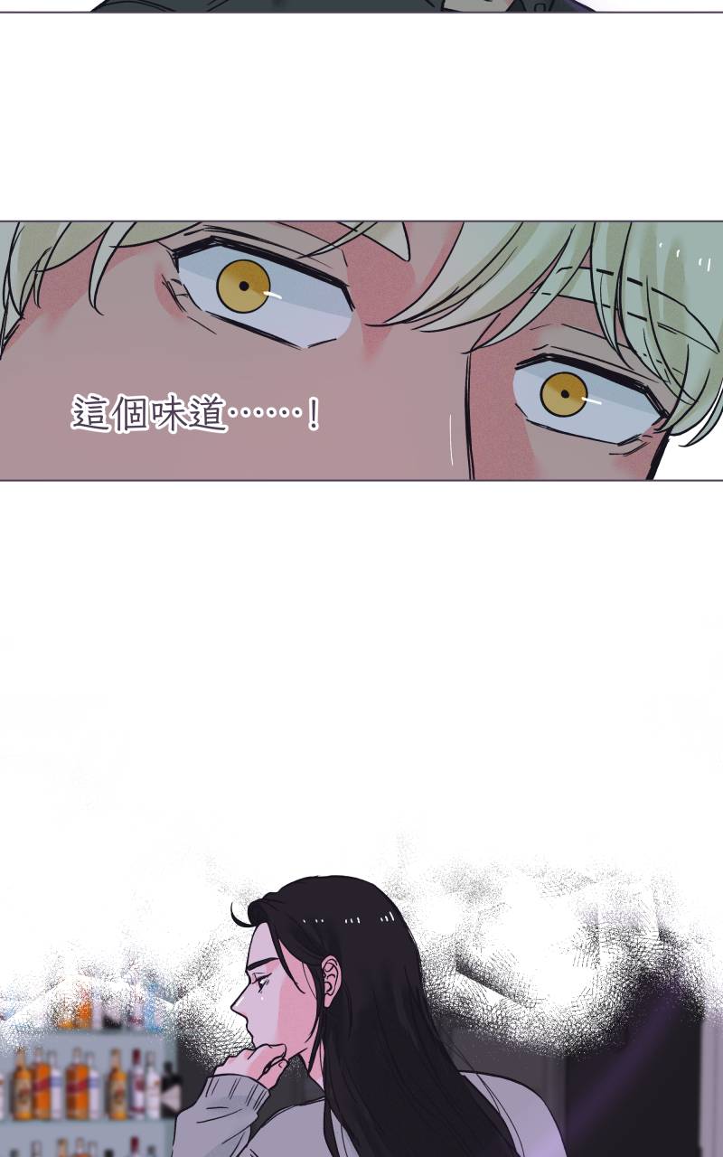 风情万种先生No. 1P52