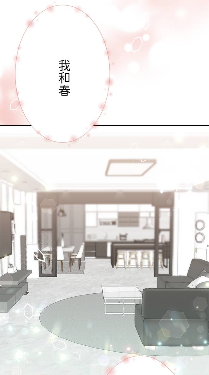 商业婚姻一喜欢上了就离婚第1話P42