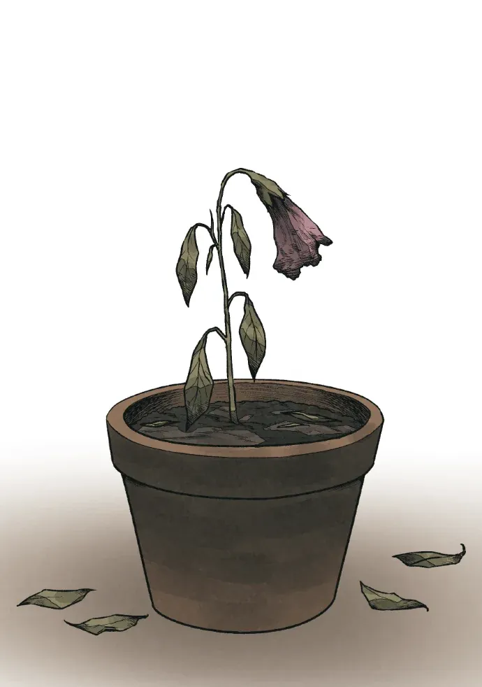 杀戮咨询第61話P2