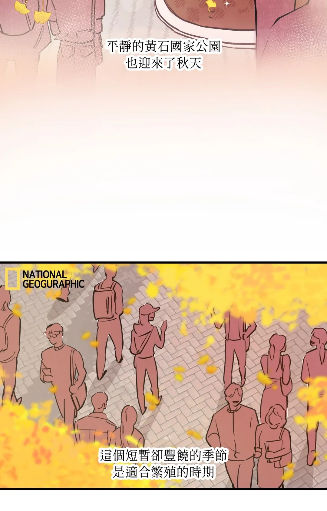 HONEY BEAR第31話P3