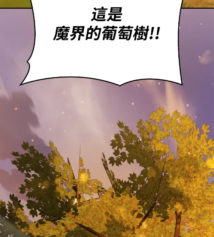 与异兽一起疗愈的S级猎人第35話 爺爺的葡萄樹P3