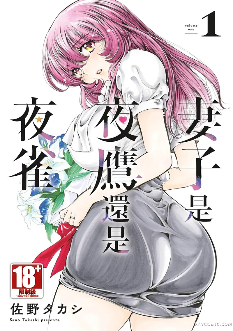 妻子是夜鹰还是夜雀试读1P