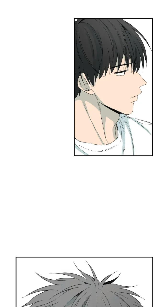 同情的形态第37話P3