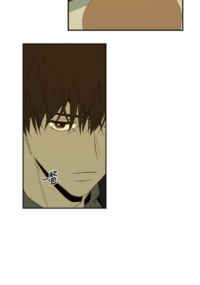 同情的形态第60話P3