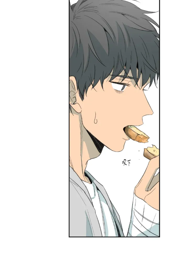 同情的形态第66話P2