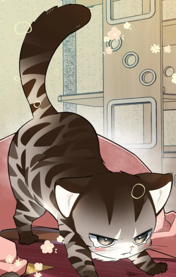 如果不想看我发疯，就为我生下小山猫！试读4P