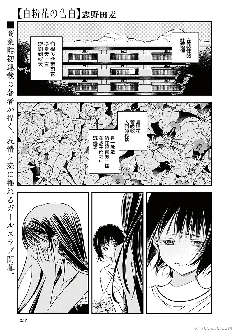 白粉花的告白试读1P