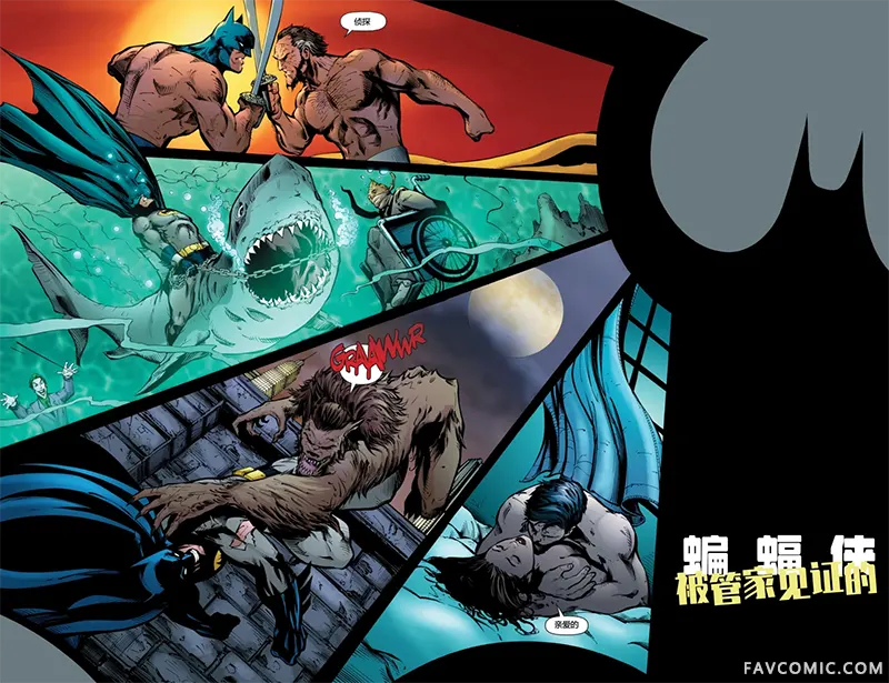 蝙蝠侠：是管家做的下卷P2