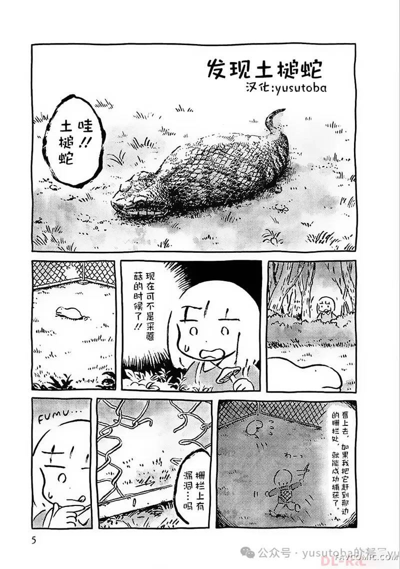 panpanya的短篇合集发现土槌蛇P1