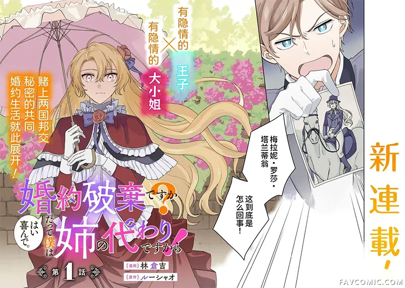 要解除婚约吗？好的，我很乐意。因为我只是姐姐的替身而已！试读4P