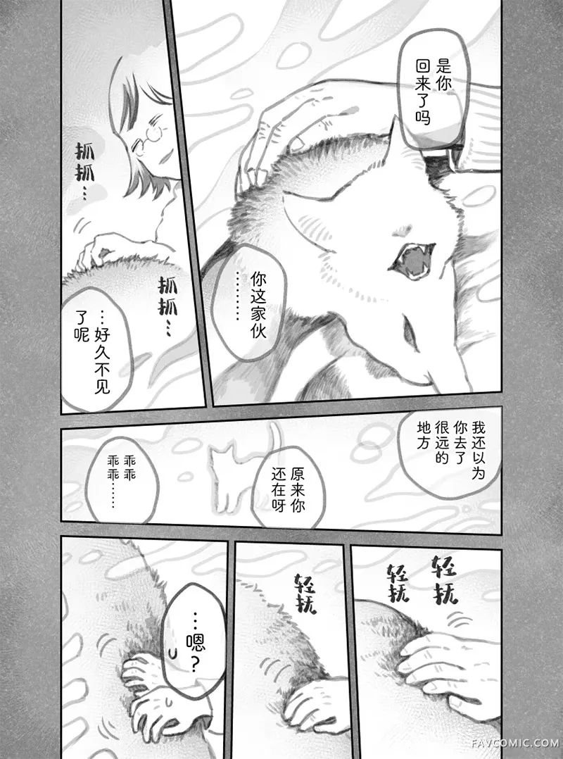 我捡了一只猫02部111话P3