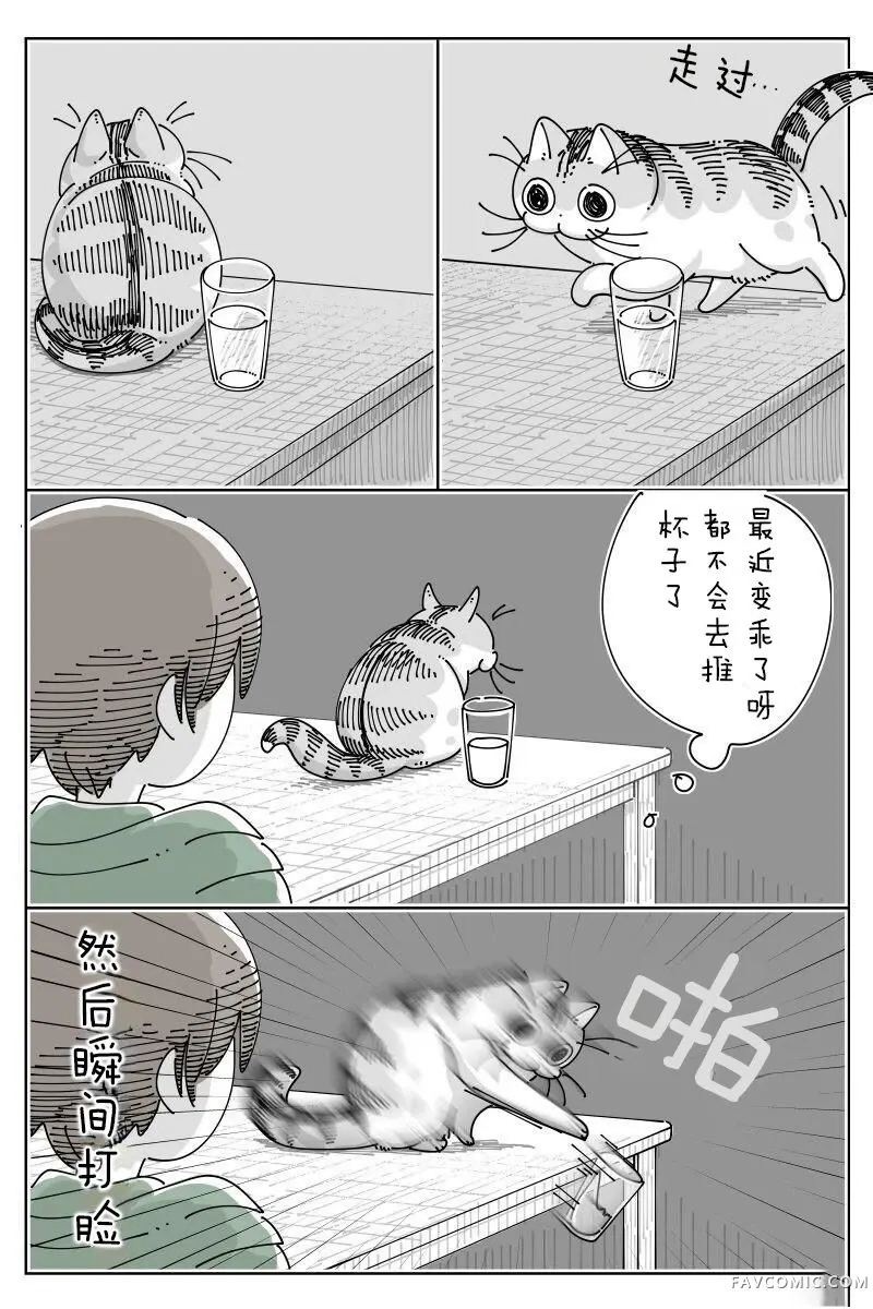 关于养猫我一直是新手第308话P1