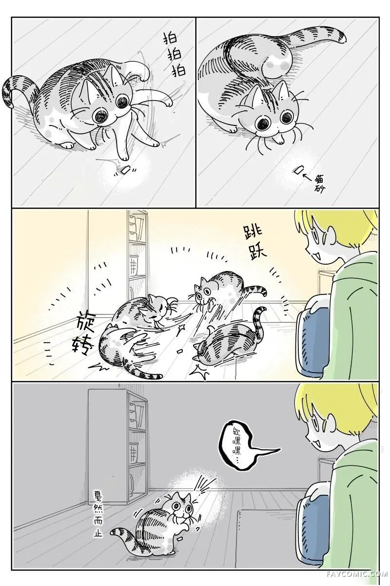 关于养猫我一直是新手第309话P1