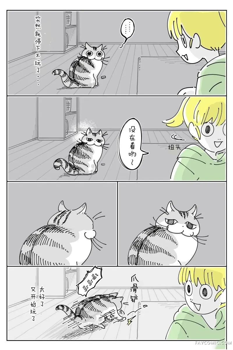 关于养猫我一直是新手第309话P2