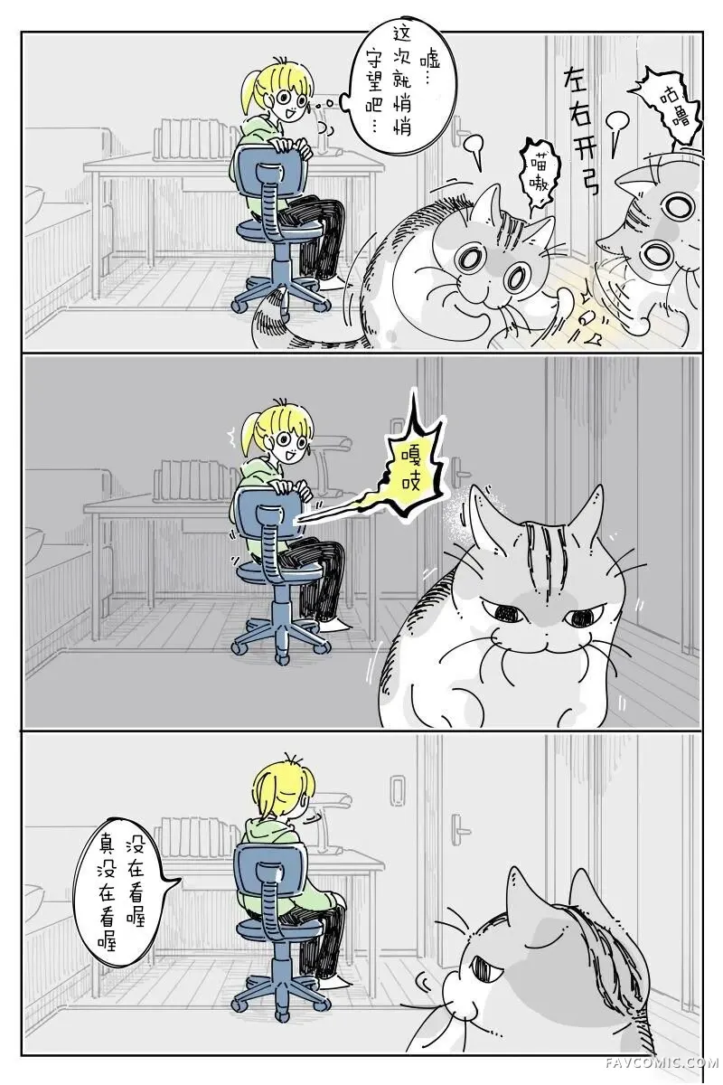 关于养猫我一直是新手第309话P3