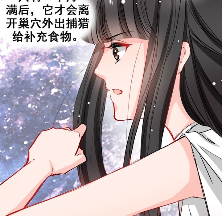 兽王的专宠第4话P16