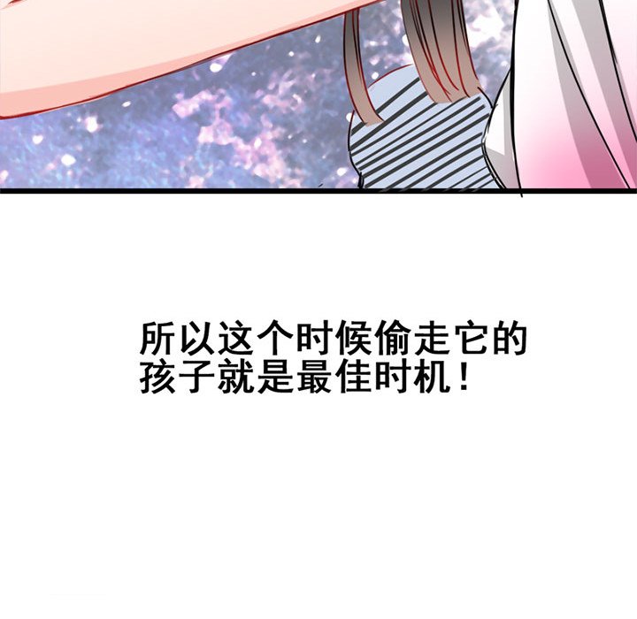 兽王的专宠第4话P17