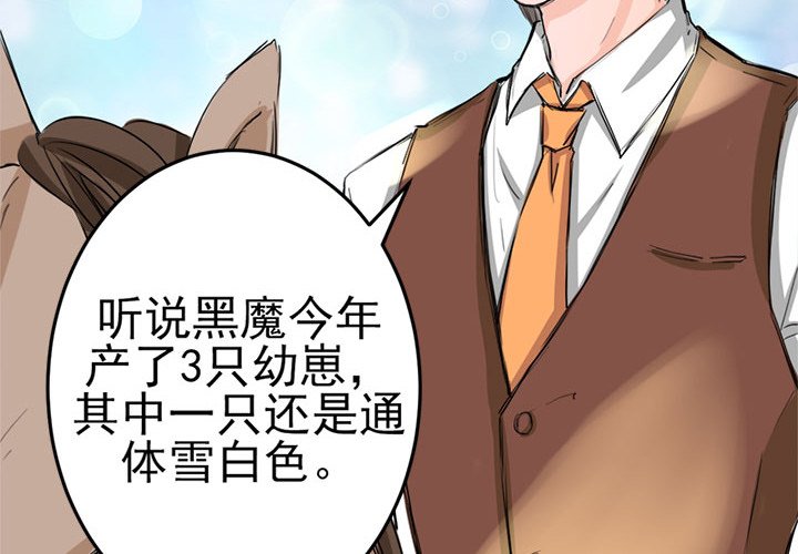 兽王的专宠第4话P4