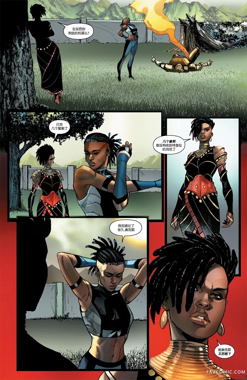 终极黑豹第03卷P4