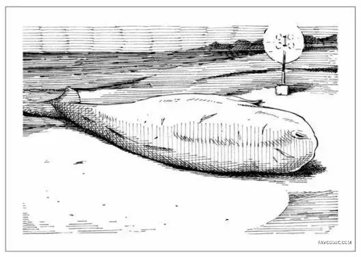 食遍四季的女子第02回P26